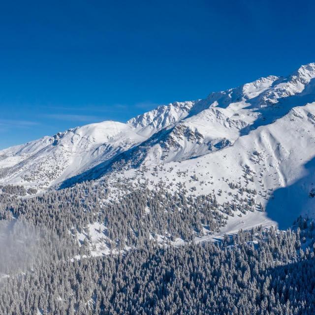 Droneweergave 7 Laux