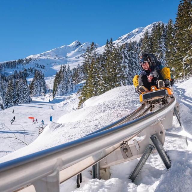 WIZ 7 Laux sled Photo Alain Doucé