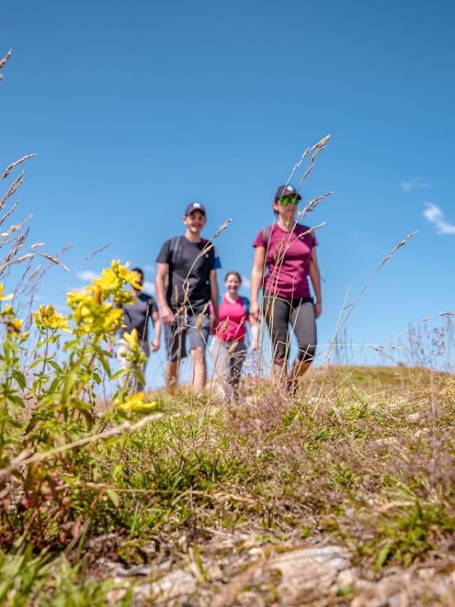 Le Collet hiking