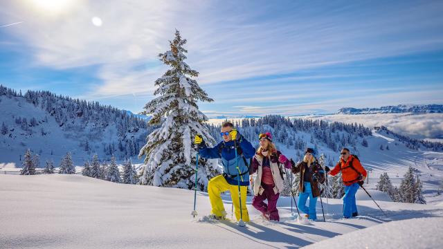 Snowshoe hikes