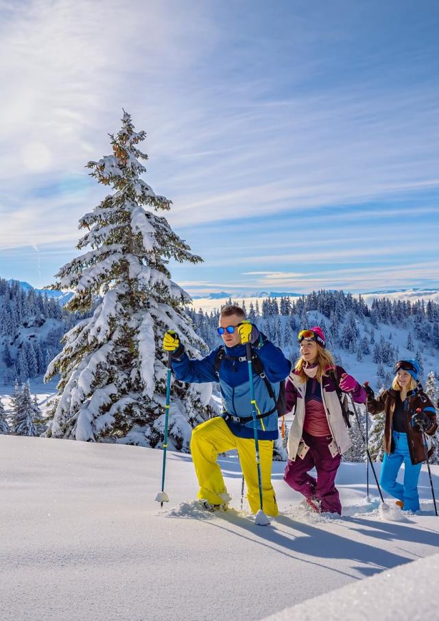 Snowshoe hikes