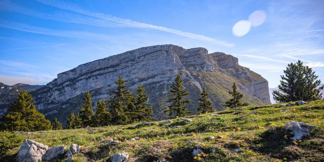 Chartreuse-massif